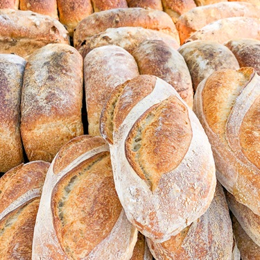 Loaves of bread