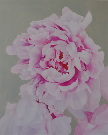 Camillia flower
