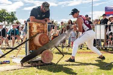 Woodchop competition