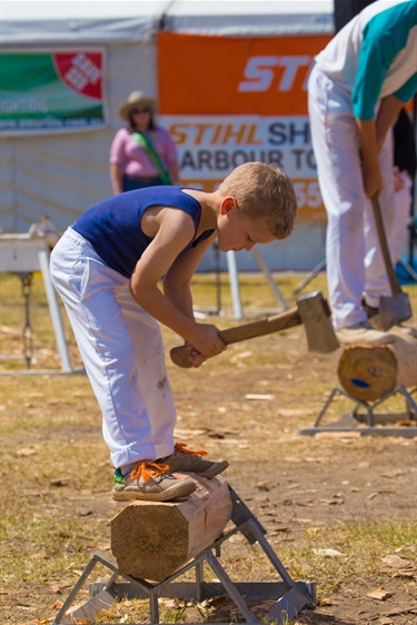 Woodchop