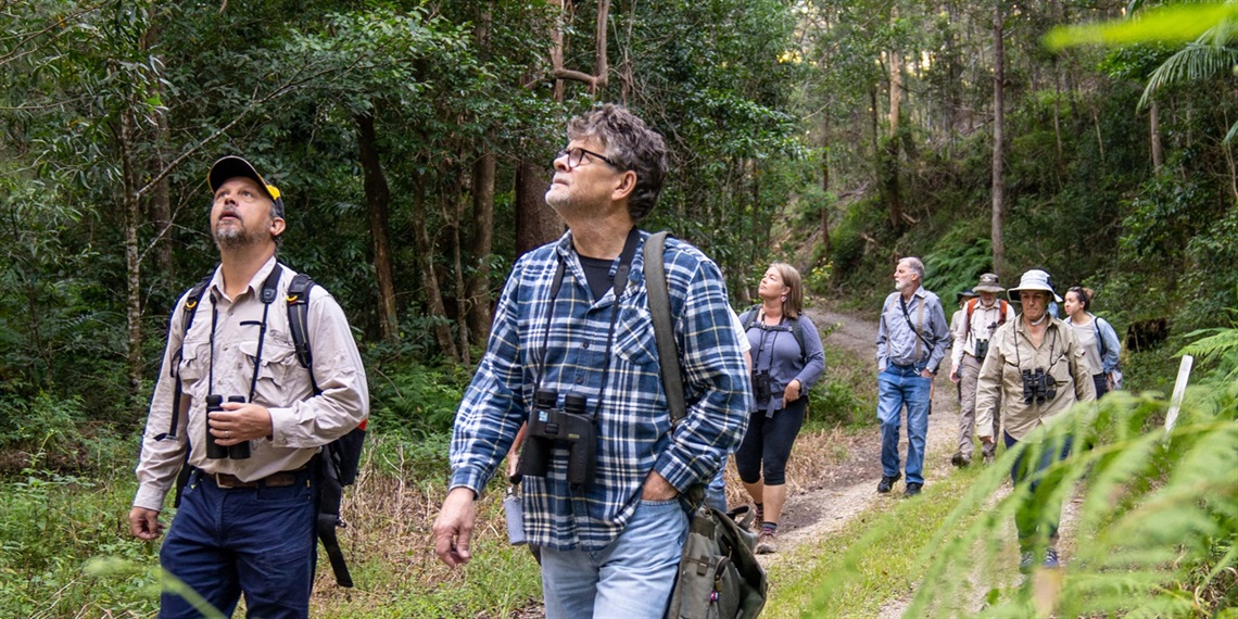 Library books on the shelf