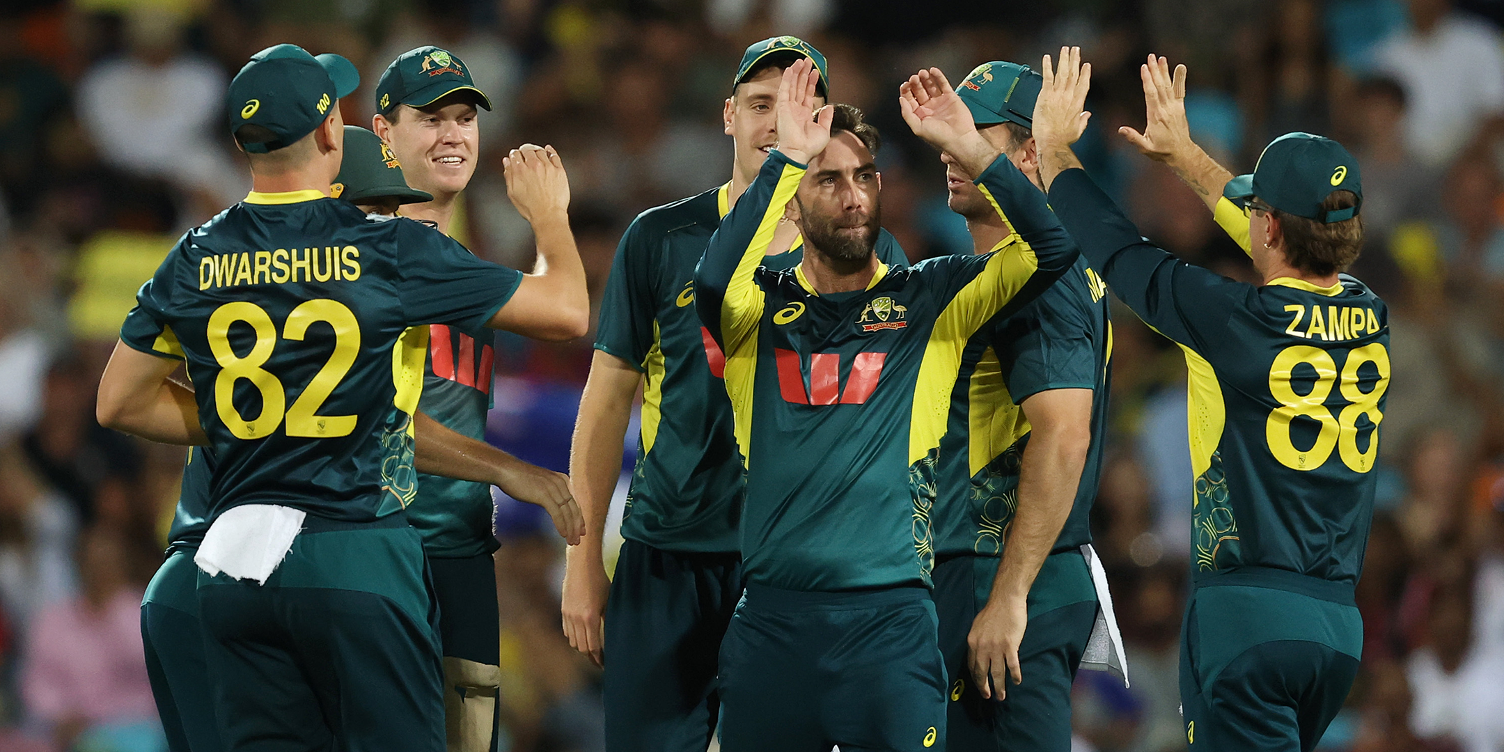 cricket-banner.png