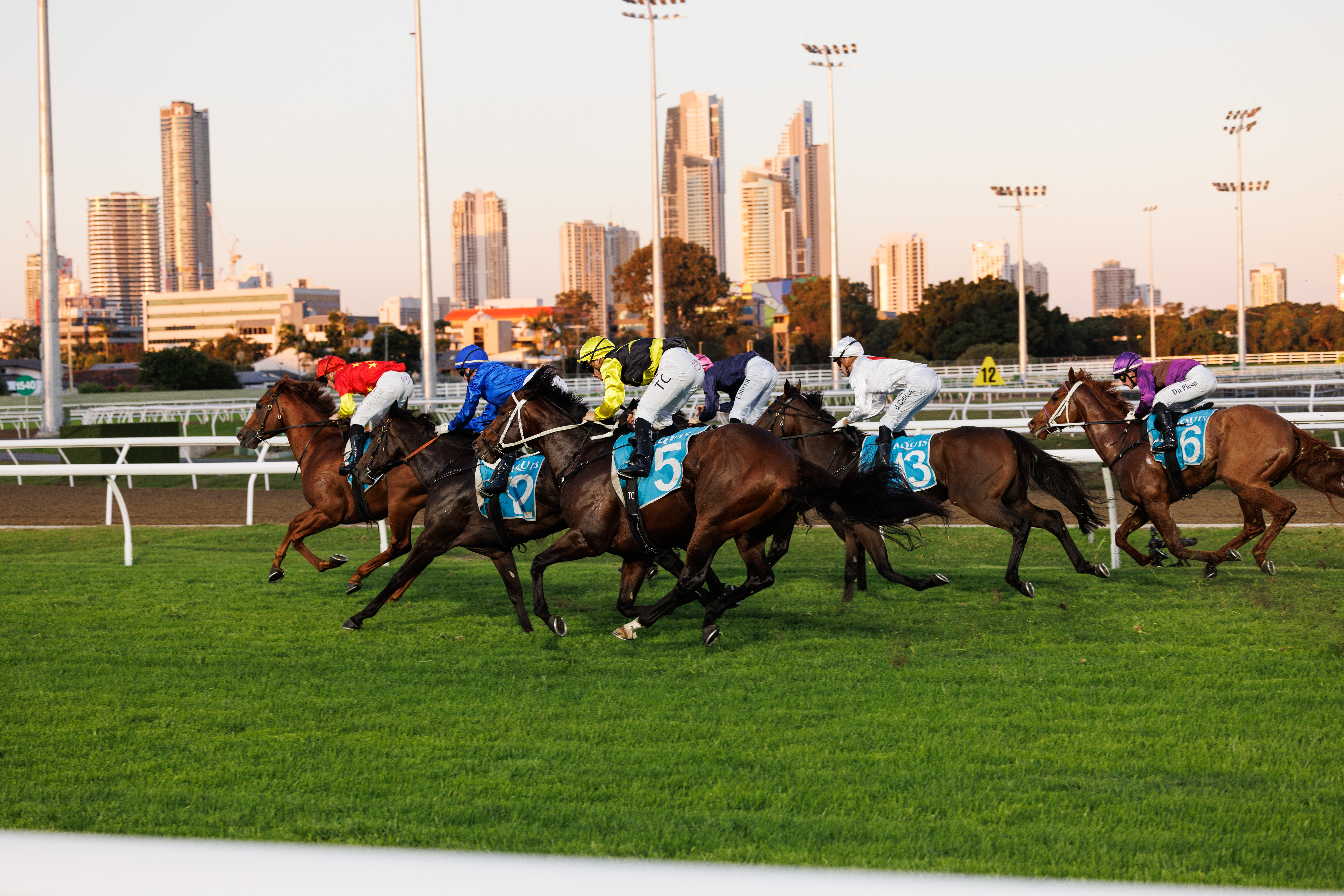 horse racing